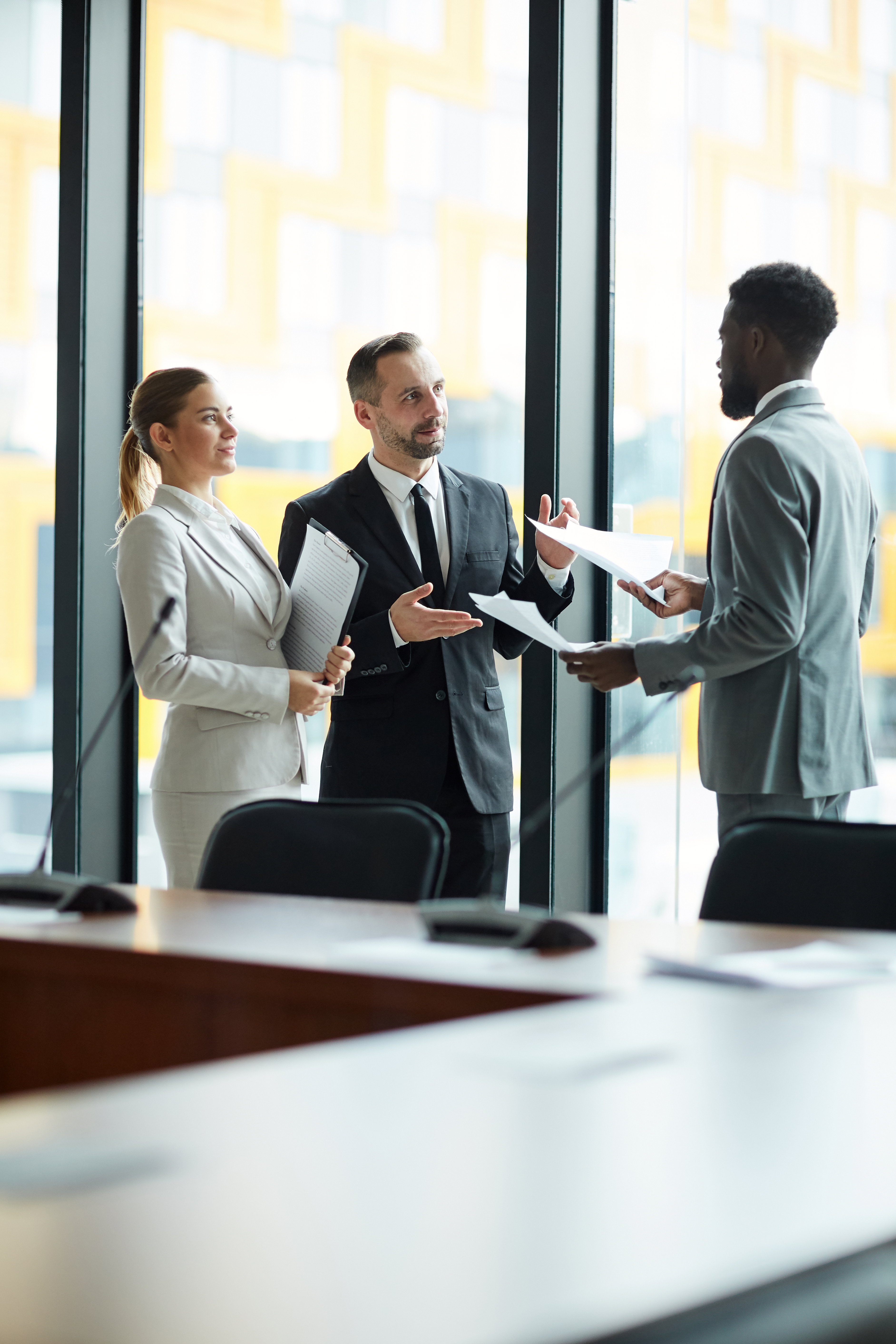 Auditor consultation